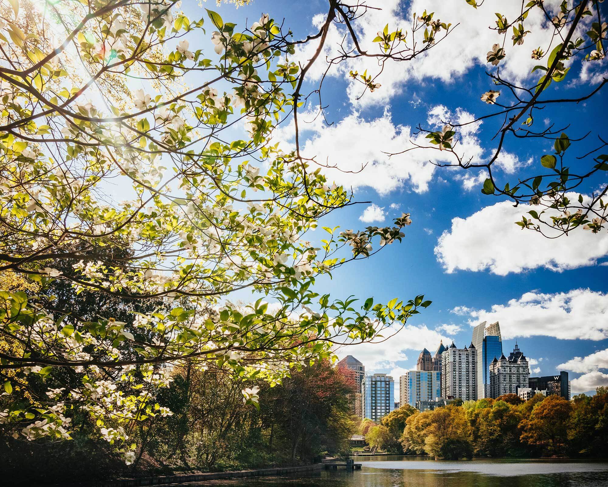 ATL skyline through trees-resources